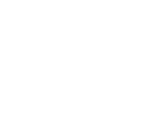 W3AP Logo